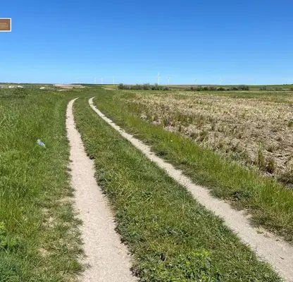 Photo 5 — Plot in Oblast Dobrich, Bylgarevo