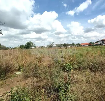 Photo 2 — Plot in Oblast Dobrich, Carichino