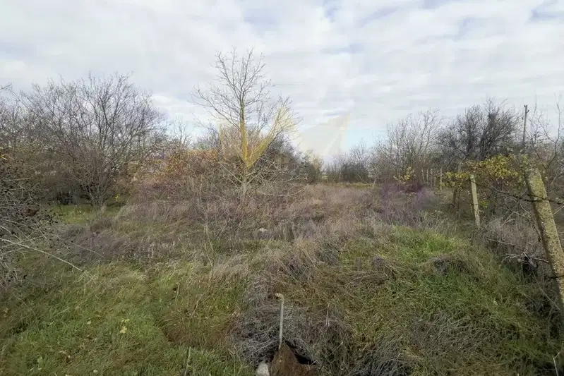 Парцел в Добрич, с. Царичино