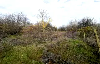 Парцел в Добрич, с. Царичино
