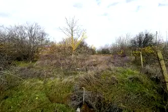Парцел в Добрич, с. Царичино