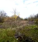Парцел в Добрич, с. Царичино