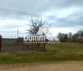 Снимка 3 — Парцел в Добрич, с. Царичино