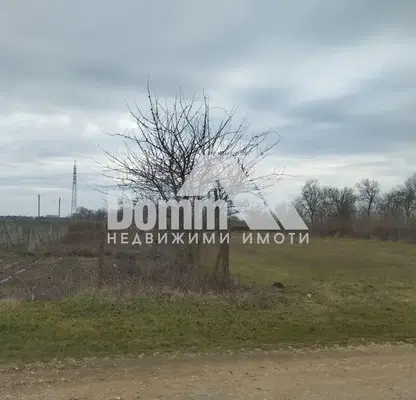 Photo 3 — Plot in Oblast Dobrich, Carichino