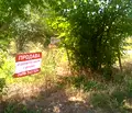 Снимка 2 — Парцел в Добрич, с. Царичино