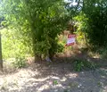 Снимка 3 — Парцел в Добрич, с. Царичино