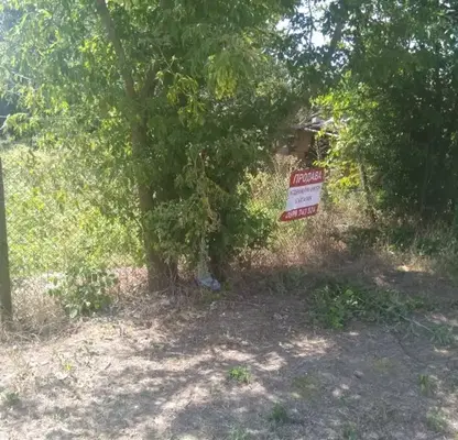 Photo 3 — Plot in Oblast Dobrich, Carichino
