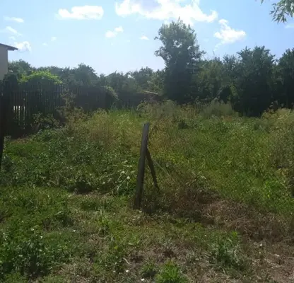 Photo 4 — Plot in Oblast Dobrich, Carichino
