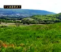 Снимка 3 — Парцел в Добрич, с. Църква
