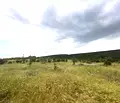 Снимка 2 — Парцел в Добрич, с. Църква