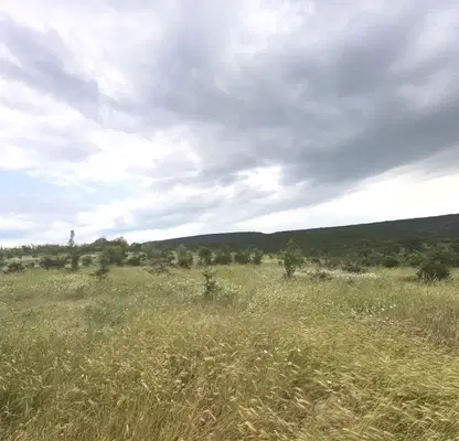 Photo 2 — Plot in Dobrich, Cyrkva