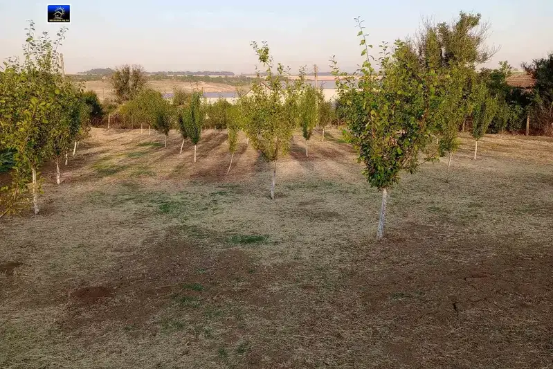 Plot in Dobrich, Draganovo