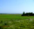 Снимка 5 — Парцел в Добрич, с. Дуранкулак