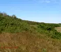 Снимка 5 — Парцел в Добрич, с. Дуранкулак