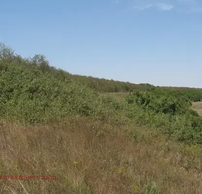 Снимка 5 — Парцел в Добрич, с. Дуранкулак