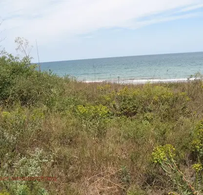 Photo 4 — Plot in Oblast Dobrich, Durankulak