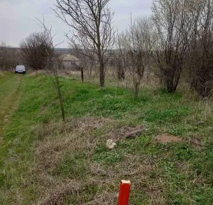 Photo 3 — Plot in Oblast Dobrich, Durankulak