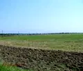 Снимка 2 — Парцел в Добрич, с. Дуранкулак
