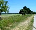 Снимка 2 — Парцел в Добрич, с. Дуранкулак