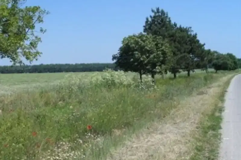 Plot in Oblast Dobrich, Durankulak