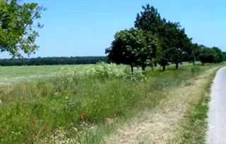 Парцел в Добрич, с. Дуранкулак