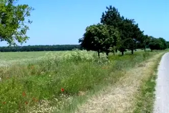 Парцел в Добрич, с. Дуранкулак