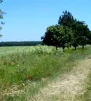 Парцел в Добрич, с. Дуранкулак