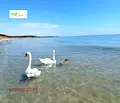 Снимка 4 — Парцел в Добрич, с. Езерец