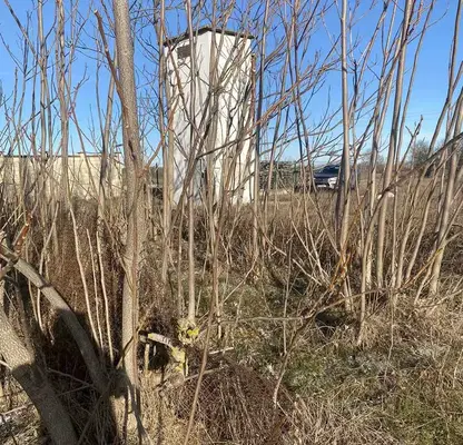 Photo 3 — Plot in Oblast Dobrich, Gurkovo