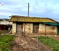 Снимка 4 — Парцел в Добрич, с. Гурково