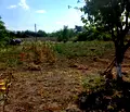 Снимка 2 — Парцел в Добрич, с. Гурково