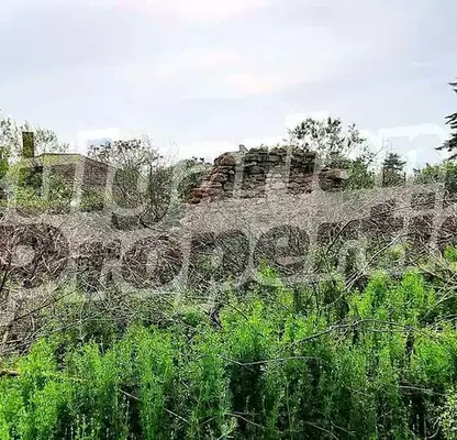 Снимка 4 — Парцел в Добрич, с. Гурково