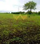 Парцел в Добрич, с. Храброво