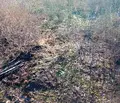 Снимка 2 — Парцел в Добрич, с. Изворово