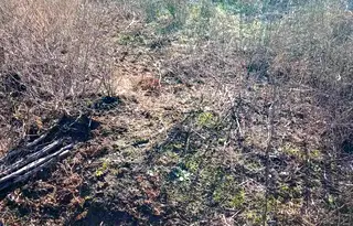 Парцел в Добрич, с. Изворово