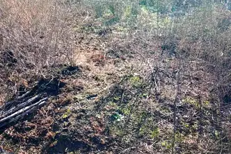 Парцел в Добрич, с. Изворово