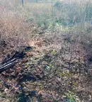 Парцел в Добрич, с. Изворово