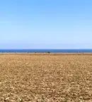 Парцел в Добрич, с. Камен бряг