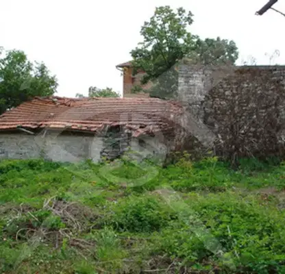Photo 2 — Plot in Oblast Dobrich, Kranevo