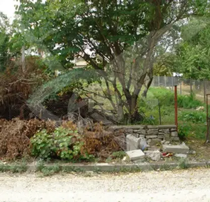 Photo 3 — Plot in Oblast Dobrich, Kranevo
