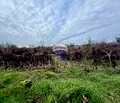 Снимка 2 — Парцел в Добрич, с. Кранево