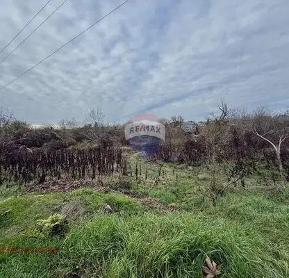 Photo 2 — Plot in Oblast Dobrich, Kranevo
