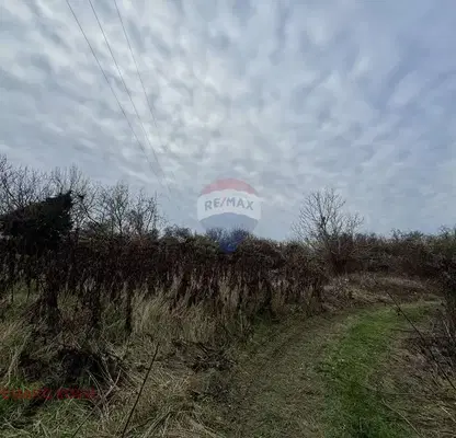 Photo 5 — Plot in Oblast Dobrich, Kranevo