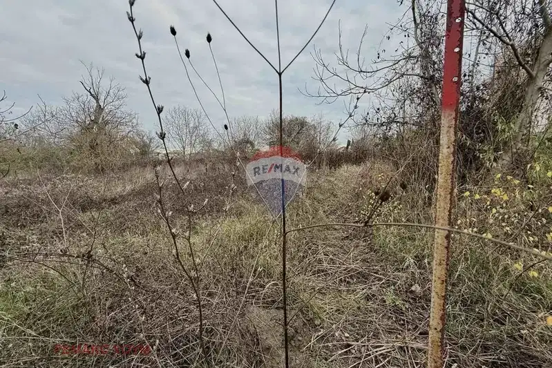 Plot in Oblast Dobrich, Kranevo