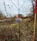 Парцел в Добрич, с. Кранево