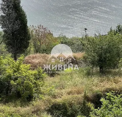 Photo 5 — Plot in Oblast Dobrich, Kranevo