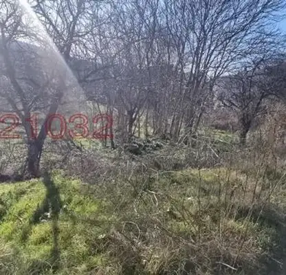 Photo 2 — Plot in Oblast Dobrich, Kranevo