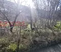 Снимка 3 — Парцел в Добрич, с. Кранево