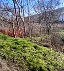 Парцел в Добрич, с. Кранево