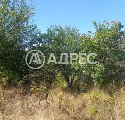Photo 2 — Plot in Oblast Dobrich, Kranevo